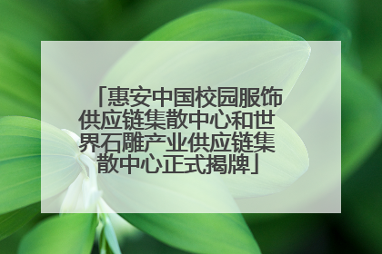 惠安中国校园服饰供应链集散中心和世界石雕产业供应链集散中心正式揭牌