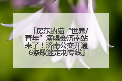 房东的猫“世界/青年”演唱会济南站来了！济南公交开通6条歌迷定制专线