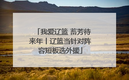 我爱辽篮 蓄芳待来年丨辽篮当针对阵容短板选外援