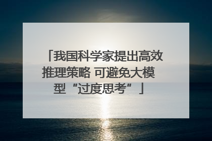 我国科学家提出高效推理策略 可避免大模型“过度思考”