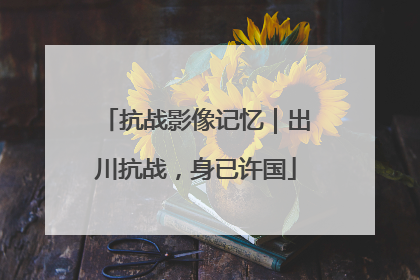 抗战影像记忆｜出川抗战，身已许国