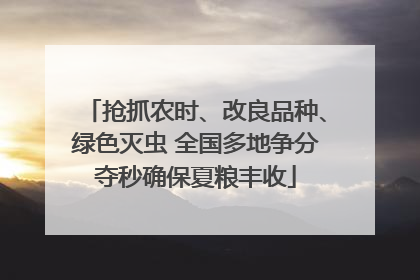 抢抓农时、改良品种、绿色灭虫 全国多地争分夺秒确保夏粮丰收