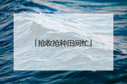 抢收抢种田间忙