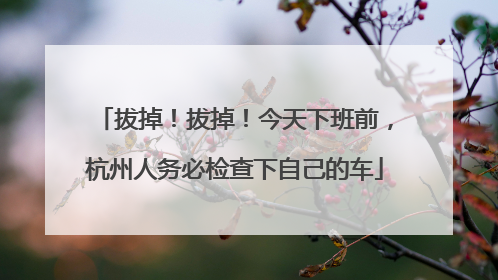 拔掉！拔掉！今天下班前，杭州人务必检查下自己的车