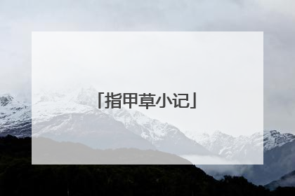 指甲草小记