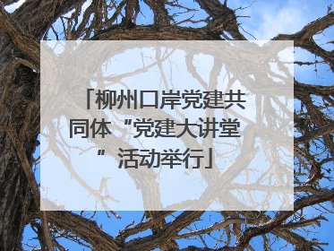 柳州口岸党建共同体“党建大讲堂”活动举行