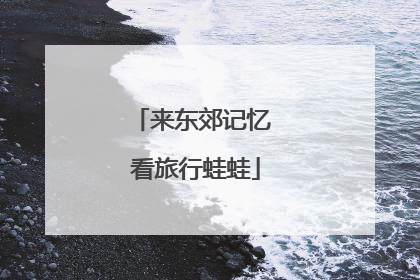 来东郊记忆 看旅行蛙蛙