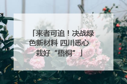 来者可追！决战绿色新材料 四川悉心栽好“梧桐”