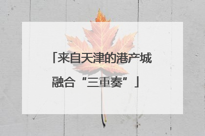 来自天津的港产城融合“三重奏”