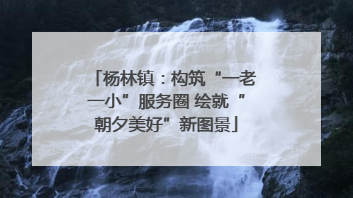 杨林镇：构筑“一老一小”服务圈 绘就“朝夕美好”新图景