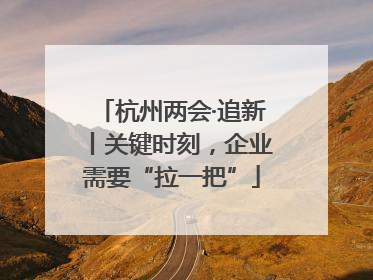 杭州两会·追新丨关键时刻，企业需要“拉一把”