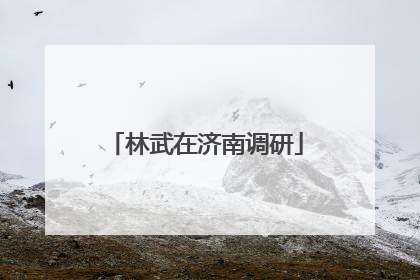林武在济南调研
