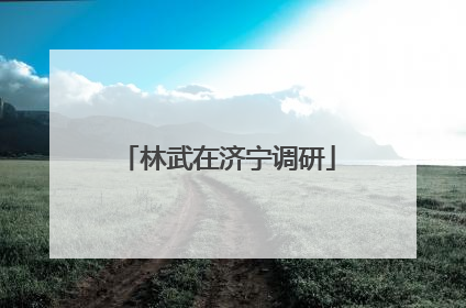 林武在济宁调研