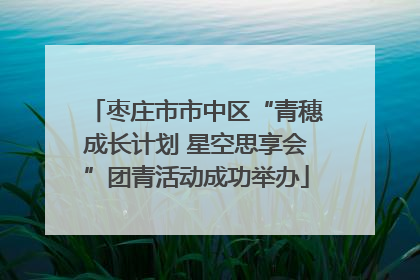枣庄市市中区“青穗成长计划 星空思享会”团青活动成功举办