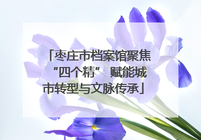 枣庄市档案馆聚焦“四个精” 赋能城市转型与文脉传承