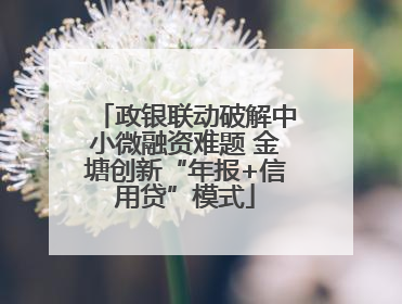政银联动破解中小微融资难题 金塘创新“年报+信用贷”模式
