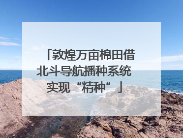 敦煌万亩棉田借北斗导航播种系统实现“精种”