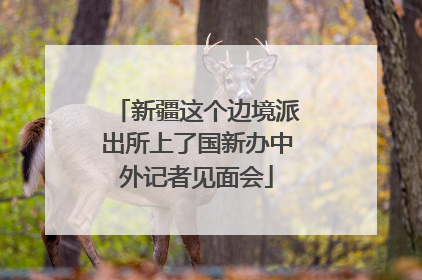 新疆这个边境派出所上了国新办中外记者见面会