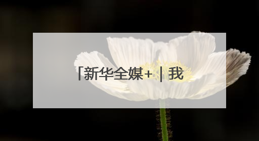 新华全媒+｜我国5月份CPI同比下降0.1%