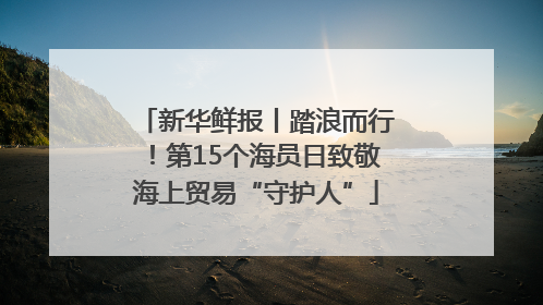 新华鲜报丨踏浪而行！第15个海员日致敬海上贸易“守护人”