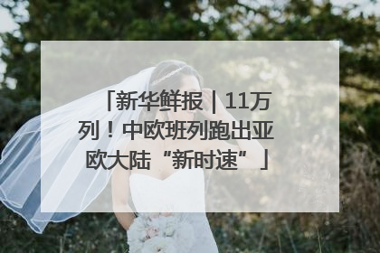 新华鲜报｜11万列！中欧班列跑出亚欧大陆“新时速”