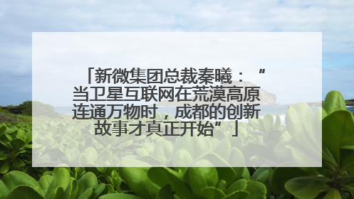 新微集团总裁秦曦：“当卫星互联网在荒漠高原连通万物时，成都的创新故事才真正开始”
