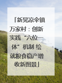 新晃凉伞镇万家村：创新实践“六位一体”机制 绘就粮食稳产增收新图景