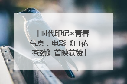 时代印记×青春气息，电影《山花苍劲》首映获赞