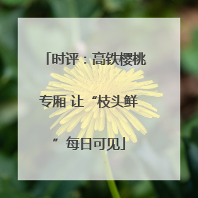 时评：高铁樱桃专厢 让“枝头鲜”每日可见