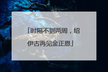 时隔不到两周，绍伊古再见金正恩