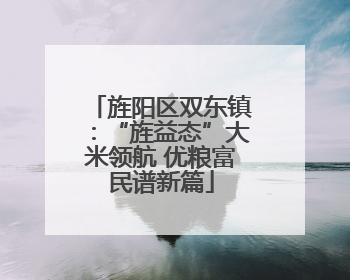 旌阳区双东镇：“旌益态”大米领航 优粮富民谱新篇
