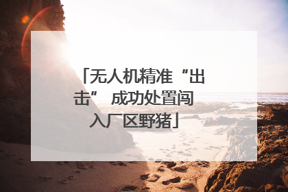 无人机精准“出击” 成功处置闯入厂区野猪