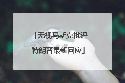 无视马斯克批评 特朗普最新回应