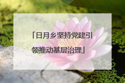 日月乡坚持党建引领推动基层治理