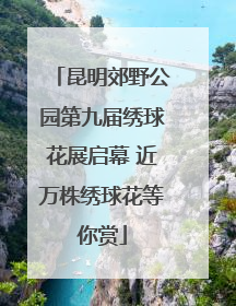 昆明郊野公园第九届绣球花展启幕 近万株绣球花等你赏