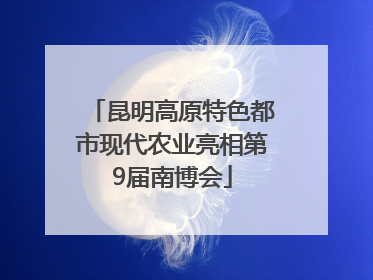 昆明高原特色都市现代农业亮相第9届南博会