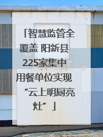 智慧监管全覆盖 阳新县225家集中用餐单位实现“云上明厨亮灶”
