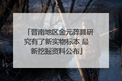 晋南地区金元葬具研究有了新实物标本 最新挖掘资料公布