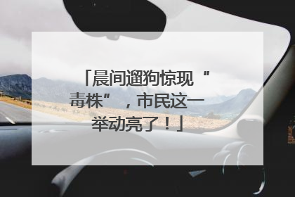 晨间遛狗惊现“毒株”，市民这一举动亮了！