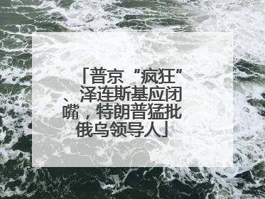 普京“疯狂”、泽连斯基应闭嘴，特朗普猛批俄乌领导人