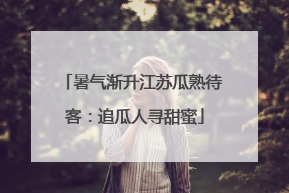 暑气渐升江苏瓜熟待客：追瓜人寻甜蜜