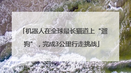 机器人在全球最长猫道上“遛狗”，完成3公里行走挑战