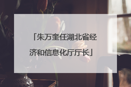 朱万奎任湖北省经济和信息化厅厅长