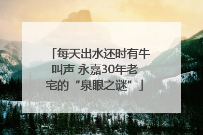 每天出水还时有牛叫声 永嘉30年老宅的“泉眼之谜”