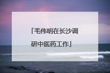 毛伟明在长沙调研中医药工作