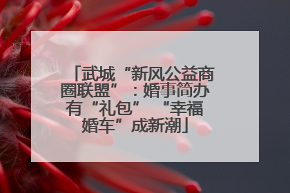 武城“新风公益商圈联盟”：婚事简办有“礼包” “幸福婚车”成新潮