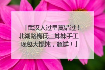 武汉人过早莫错过！北湖路梅氏三姊妹手工现包大馄饨，超鲜！