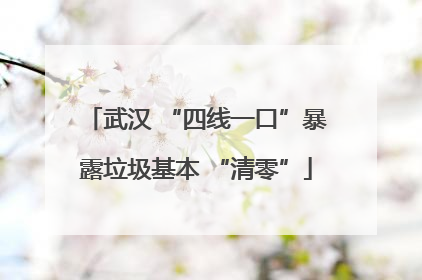 武汉 “四线一口”暴露垃圾基本 “清零”