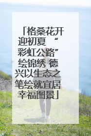 格桑花开迎初夏 “彩虹公路”绘锦绣 德兴以生态之笔绘就宜居幸福图景