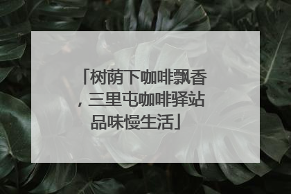 树荫下咖啡飘香，三里屯咖啡驿站品味慢生活